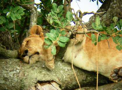 Kidepo National Park